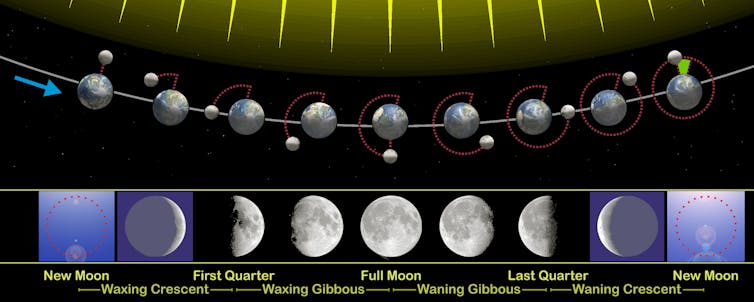 A diagram showing the relative position of the Earth and Moon and how this corresponds with the phases of the Moon.