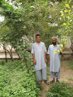 Two men stand in a garden.