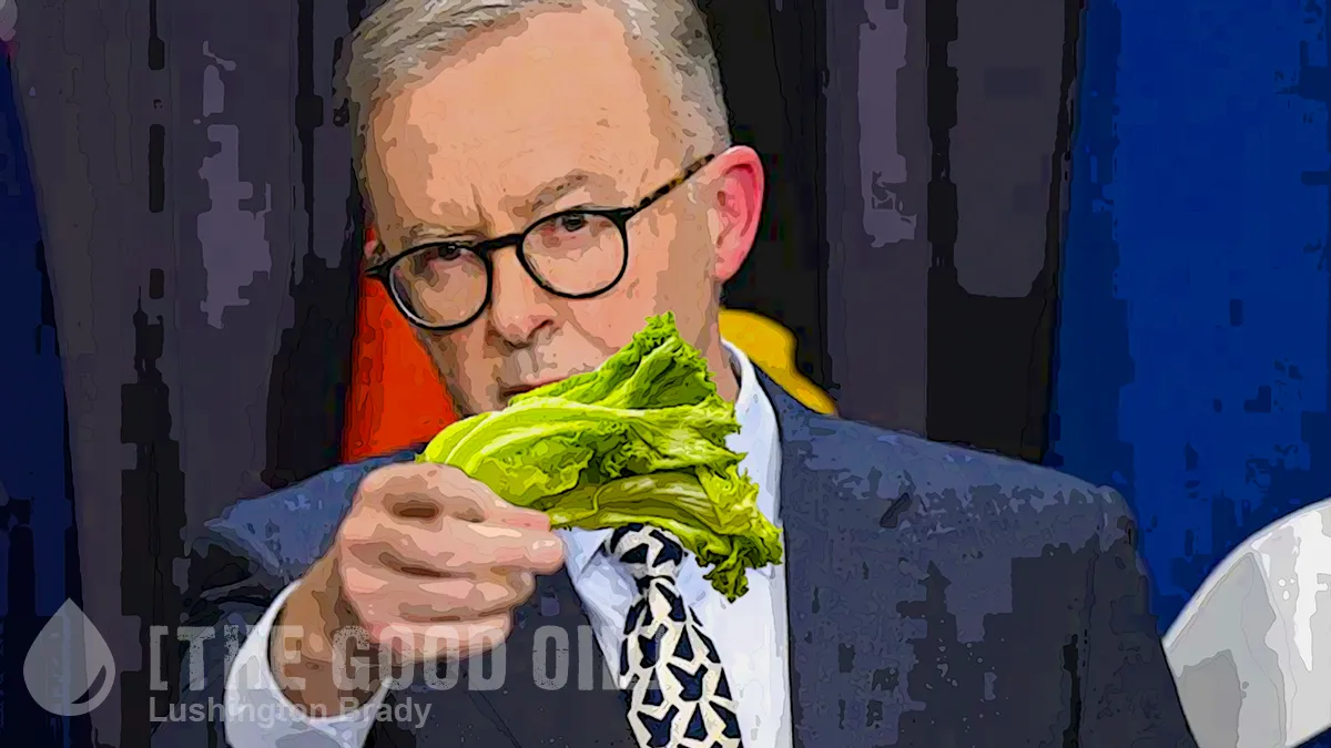 Albo Waves a Damp Lettuce Leaf