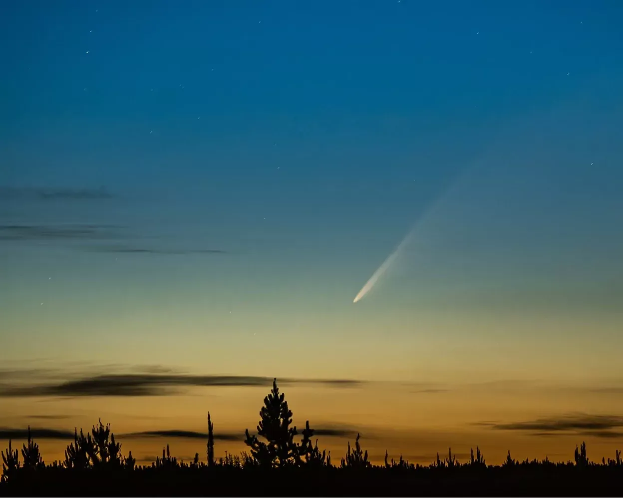 Photographer Captures Image of Rare 180,000-Year-Old Comet