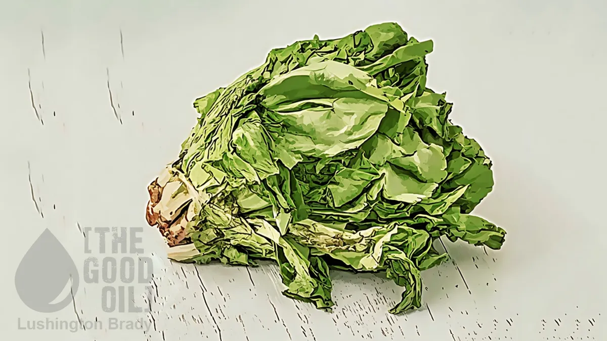 Sure, Keep Doing More of What’s Failed