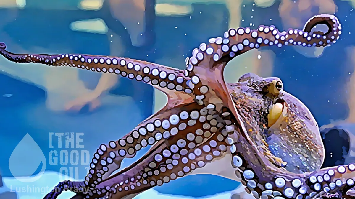 Will Octopus Rule the World One Day?