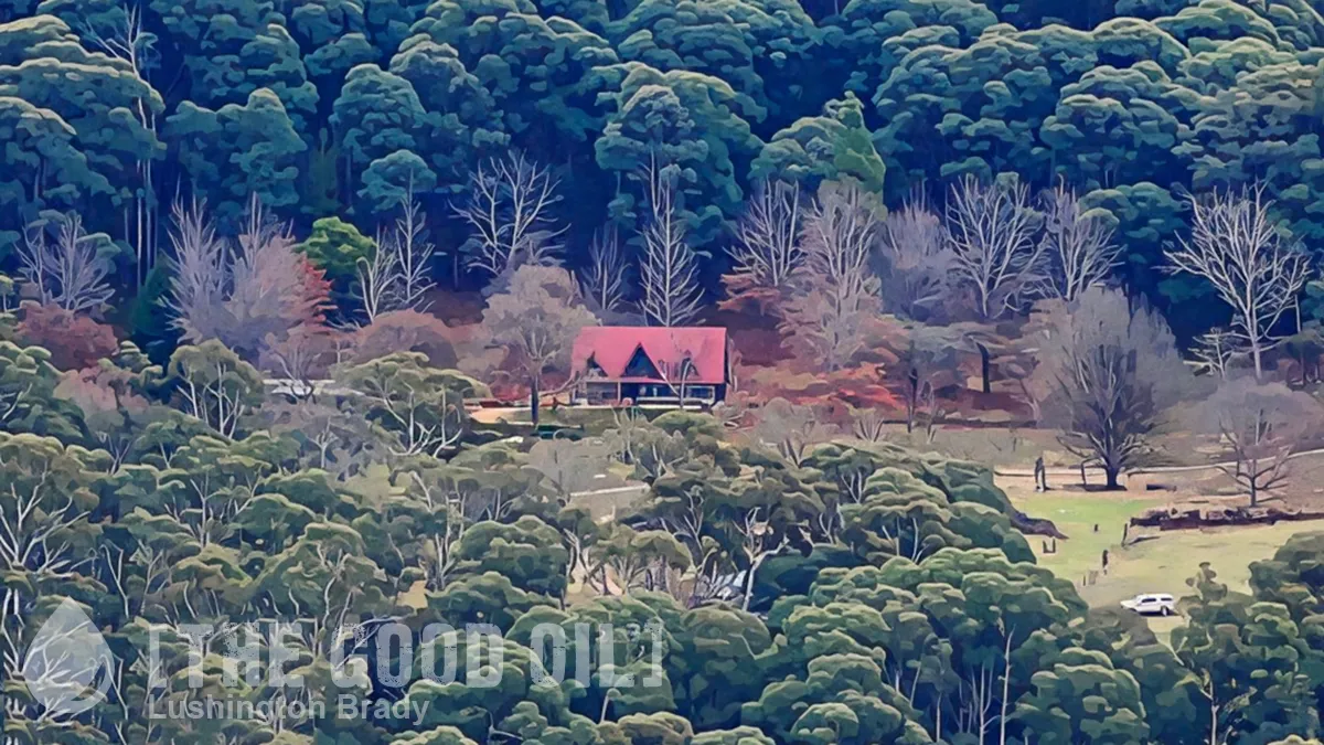 High Country Ambush Shooting Claims Two Police