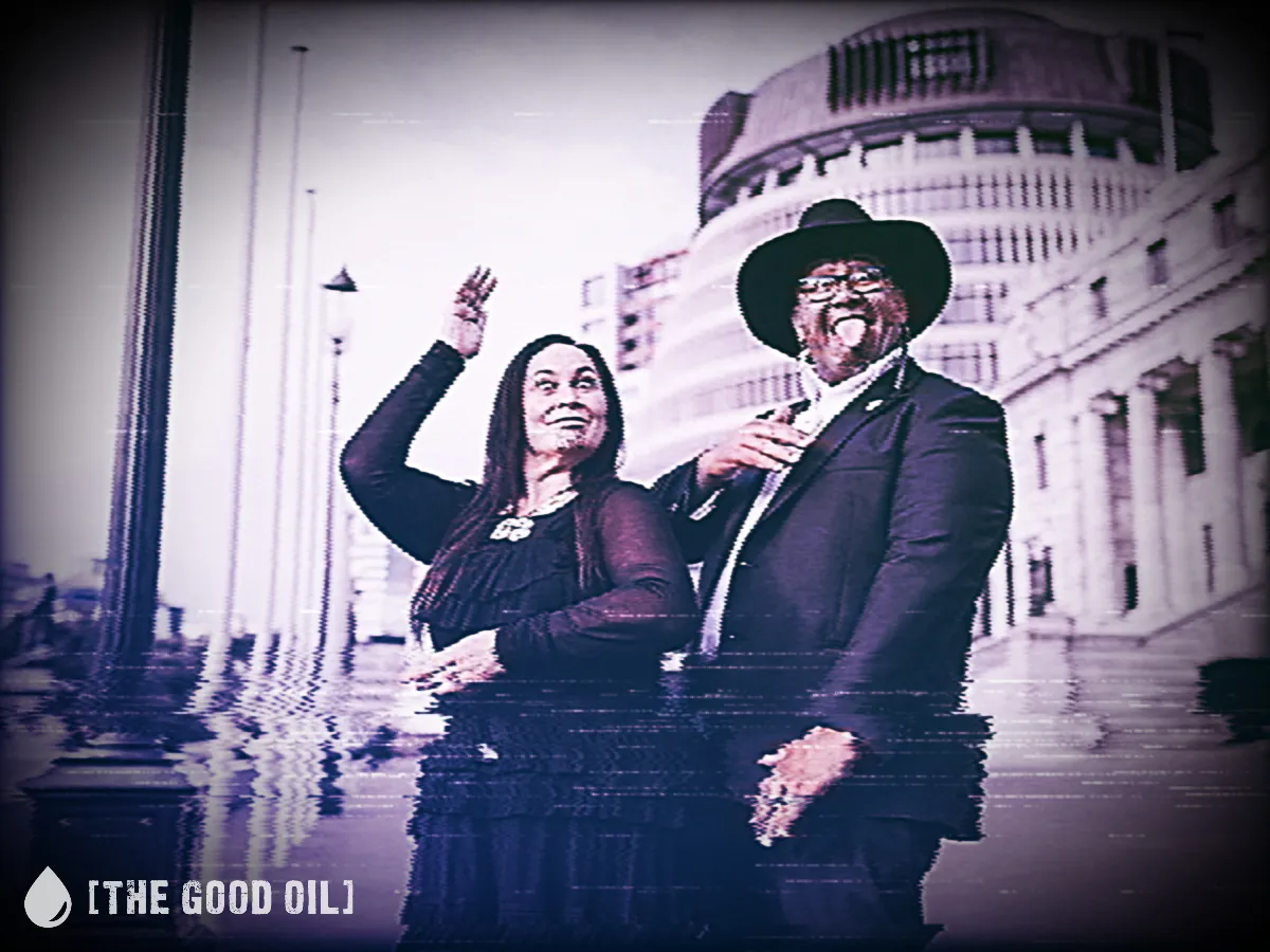 Te Pāti Māori Torch Government Bill in Latest Display of Democratic Contempt