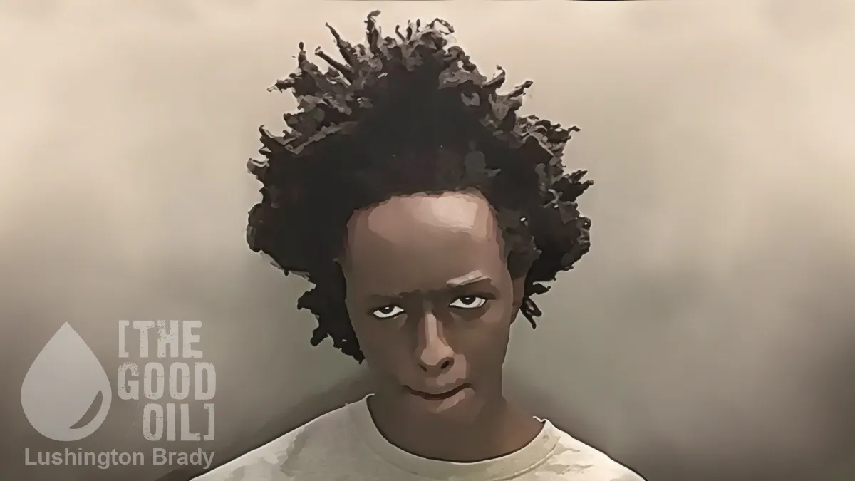 How the System Let a Monster Kill