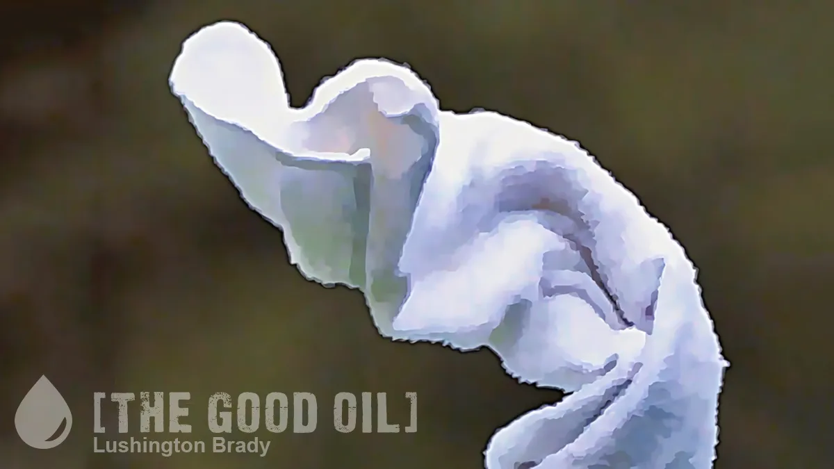 Why Does Humanism Throw in the Towel?