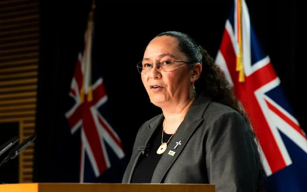 Gun Law Overhaul: Progress at Last, but National’s Still the Sticking Point on More Useful Reforms