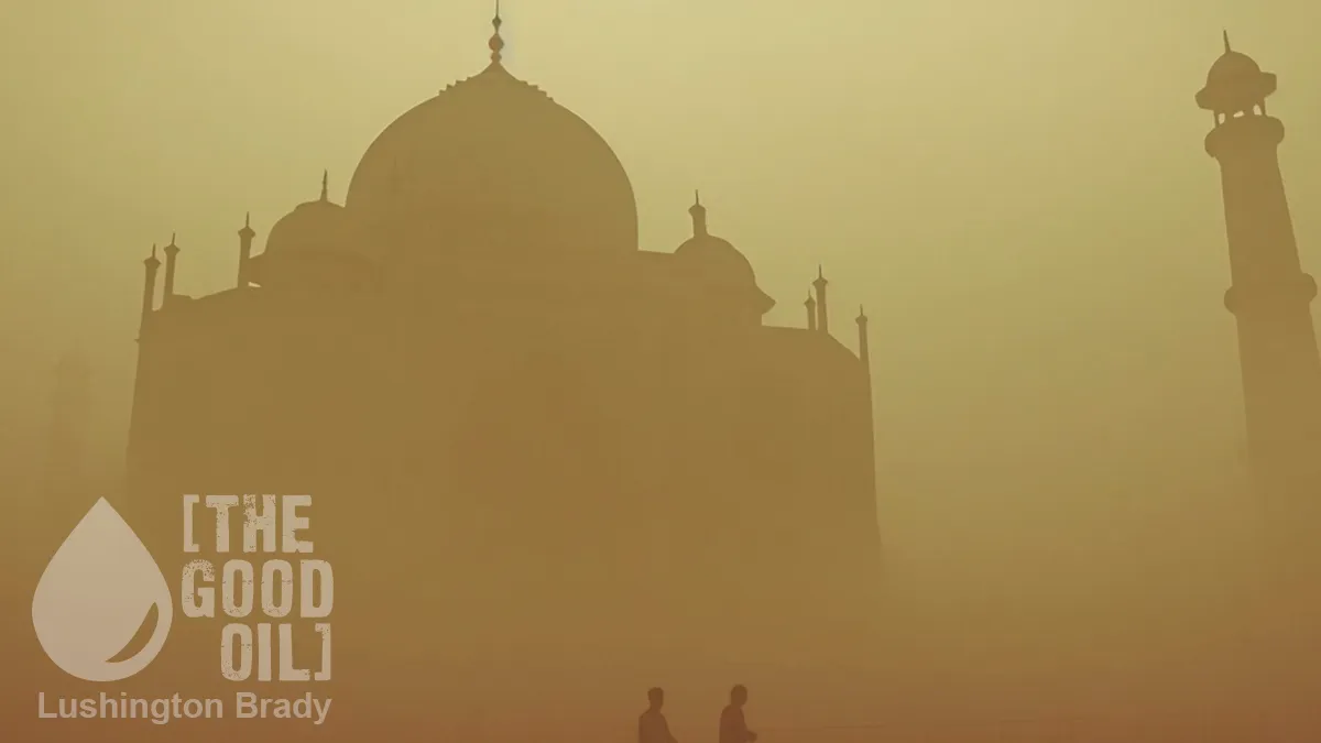 Do as They Say, Not as They Do