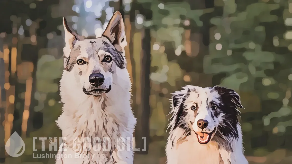 When Did Dogs Become... Dogs?