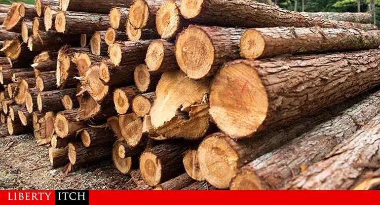 We Are Importing Timber From Other Countries