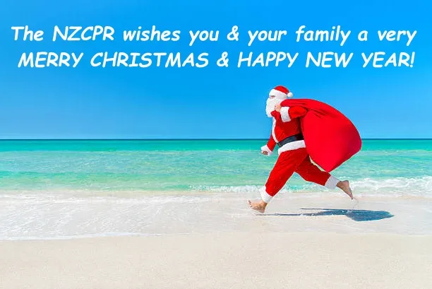 Merry Christmas and Happy New Year!