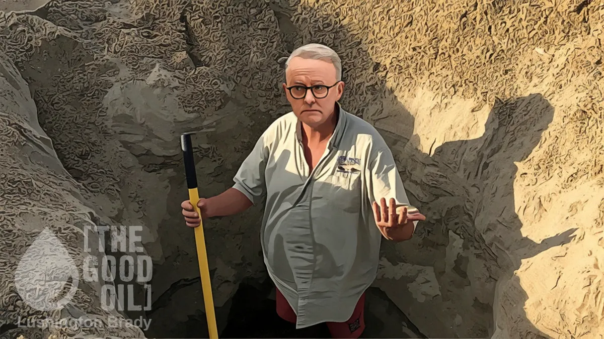 Albo Doesn’t Know When He Ought to Quit