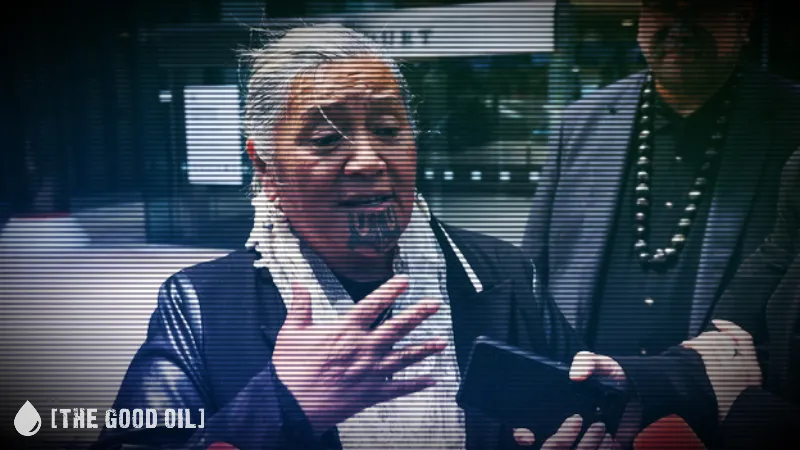 Te Pāti Māori’s Circus Act Hits a Judicial Speed Bump: Kapa-Kingi Back in the Tent for Now