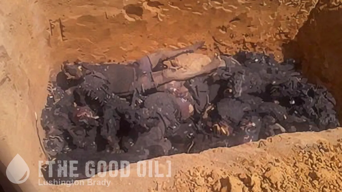 Why the Silence over This Real Genocide?