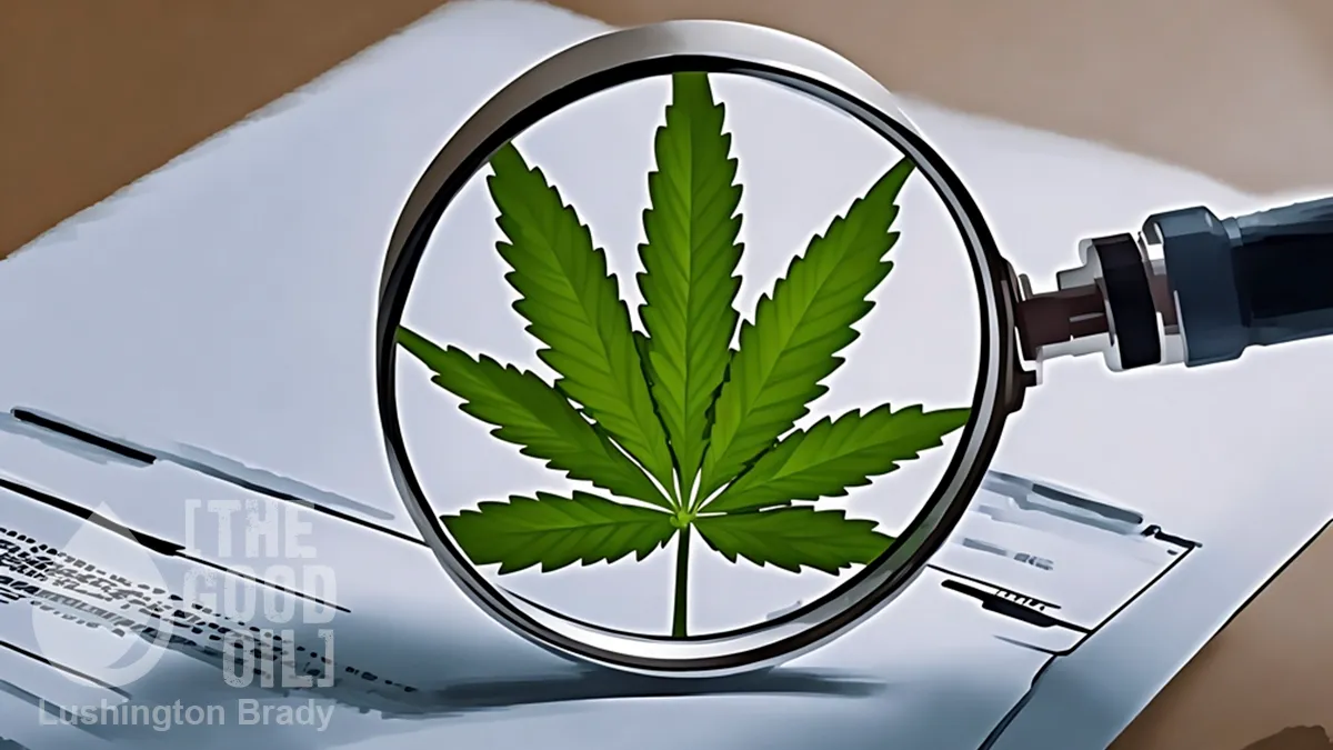 Does Weed Really Treat Chronic Pain?