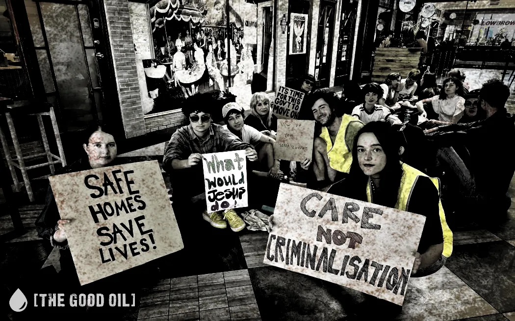 30 Losers Pretend To Be Auckland While Defending Chlöe Swarbrick’s Hobos