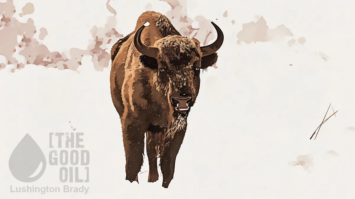 Some More Re-Wilding Success Stories