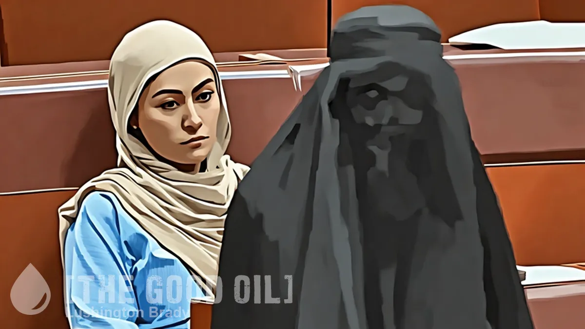 Why Is a Dual Citizen Still Sitting in Parliament?