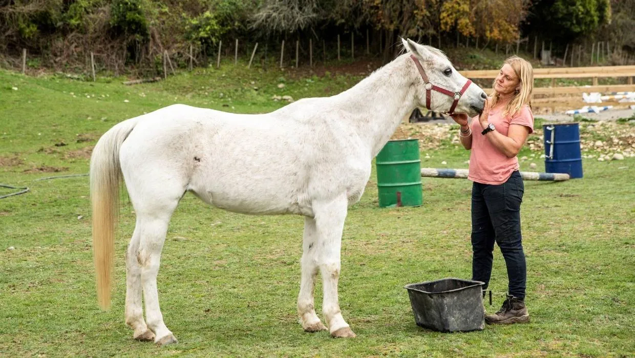 Social media haters in full voice while PM in Paris