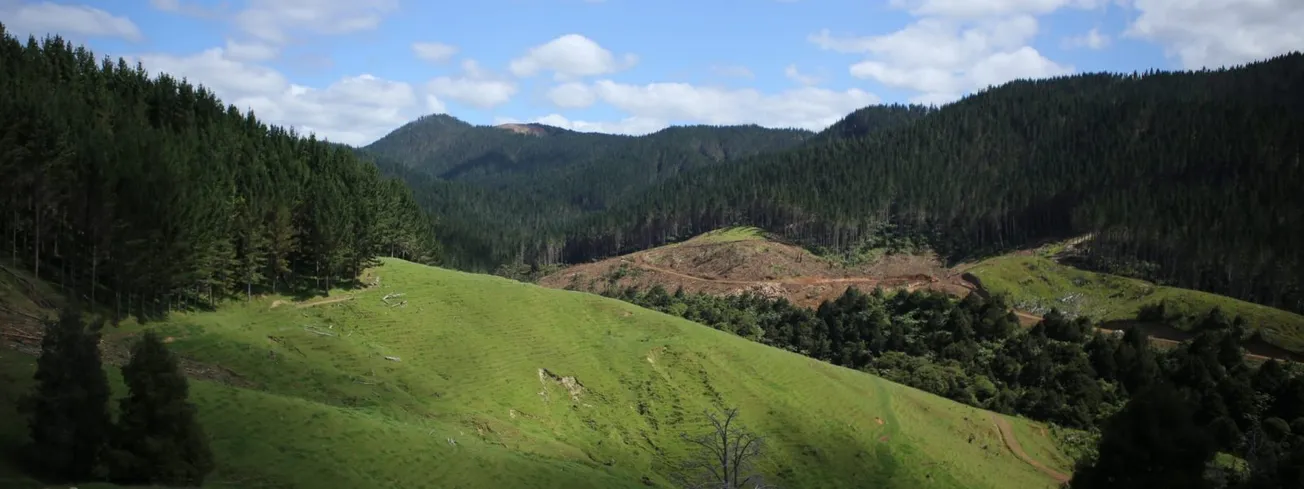 And Someone Suggested He Was Leadership Material?