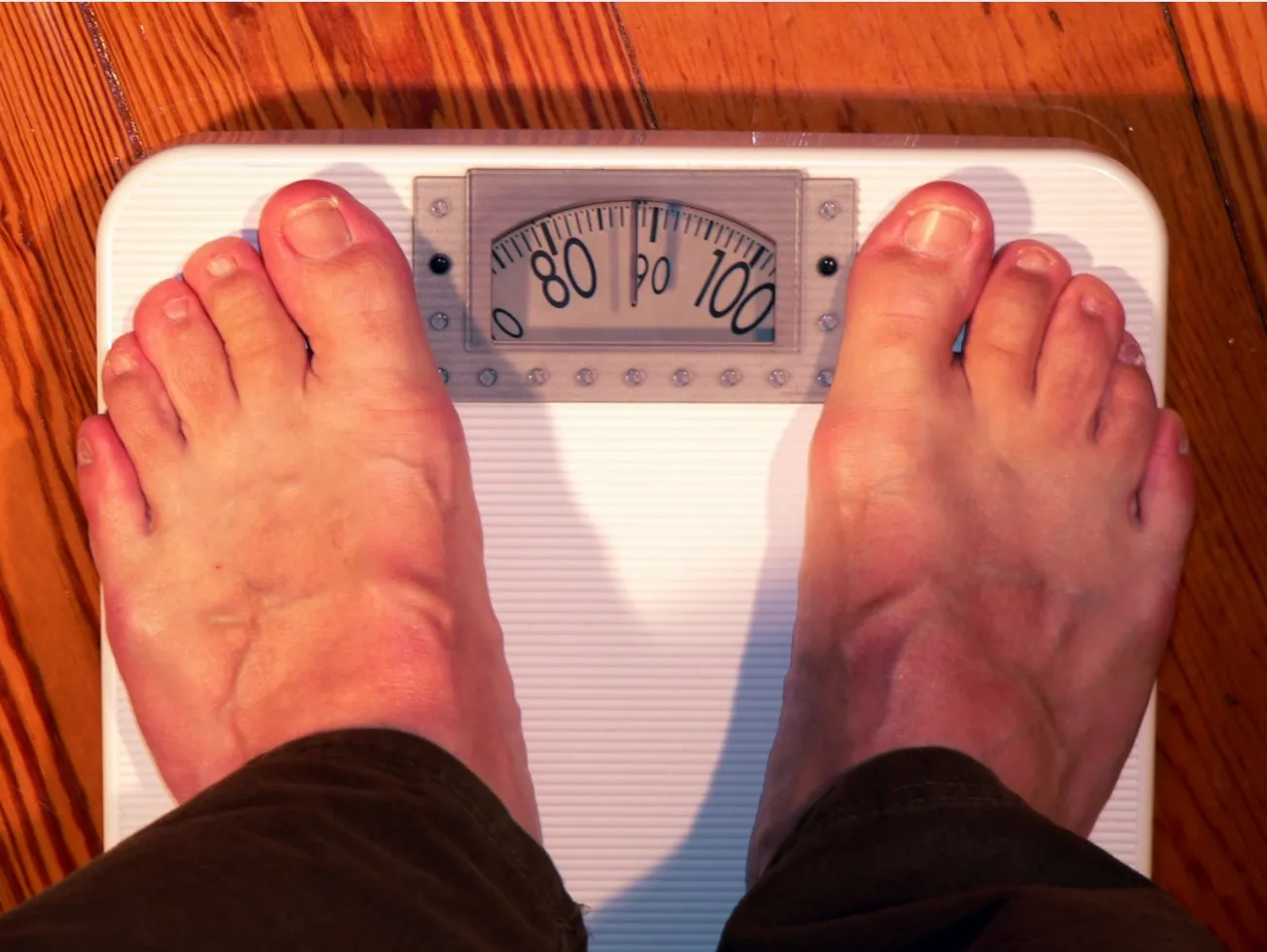 fat obese weight scales