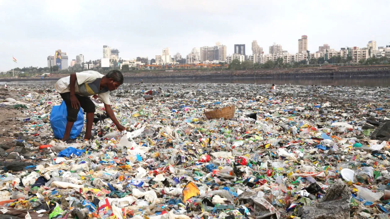 The Farce of Reusable Bags