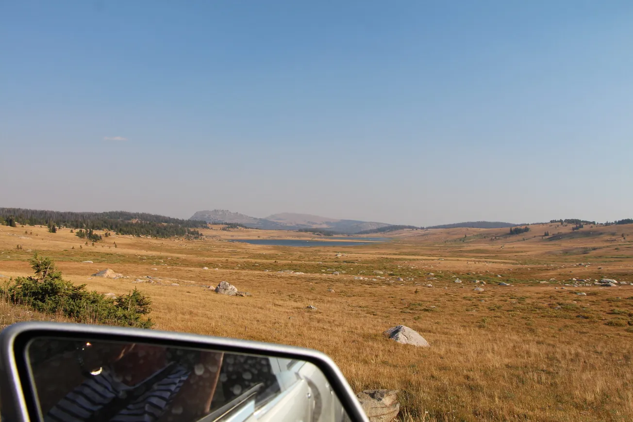 View from Your Window