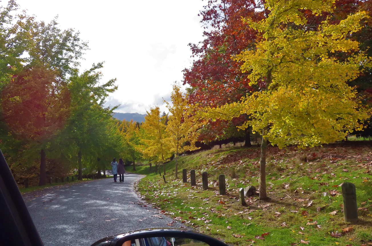 View From Your Window