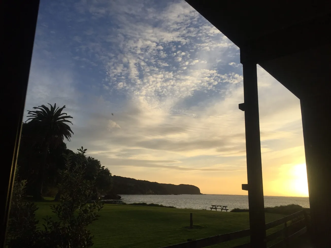 View from Your Window