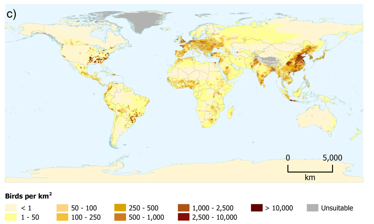 Map of the day: Countries with the Most Chickens