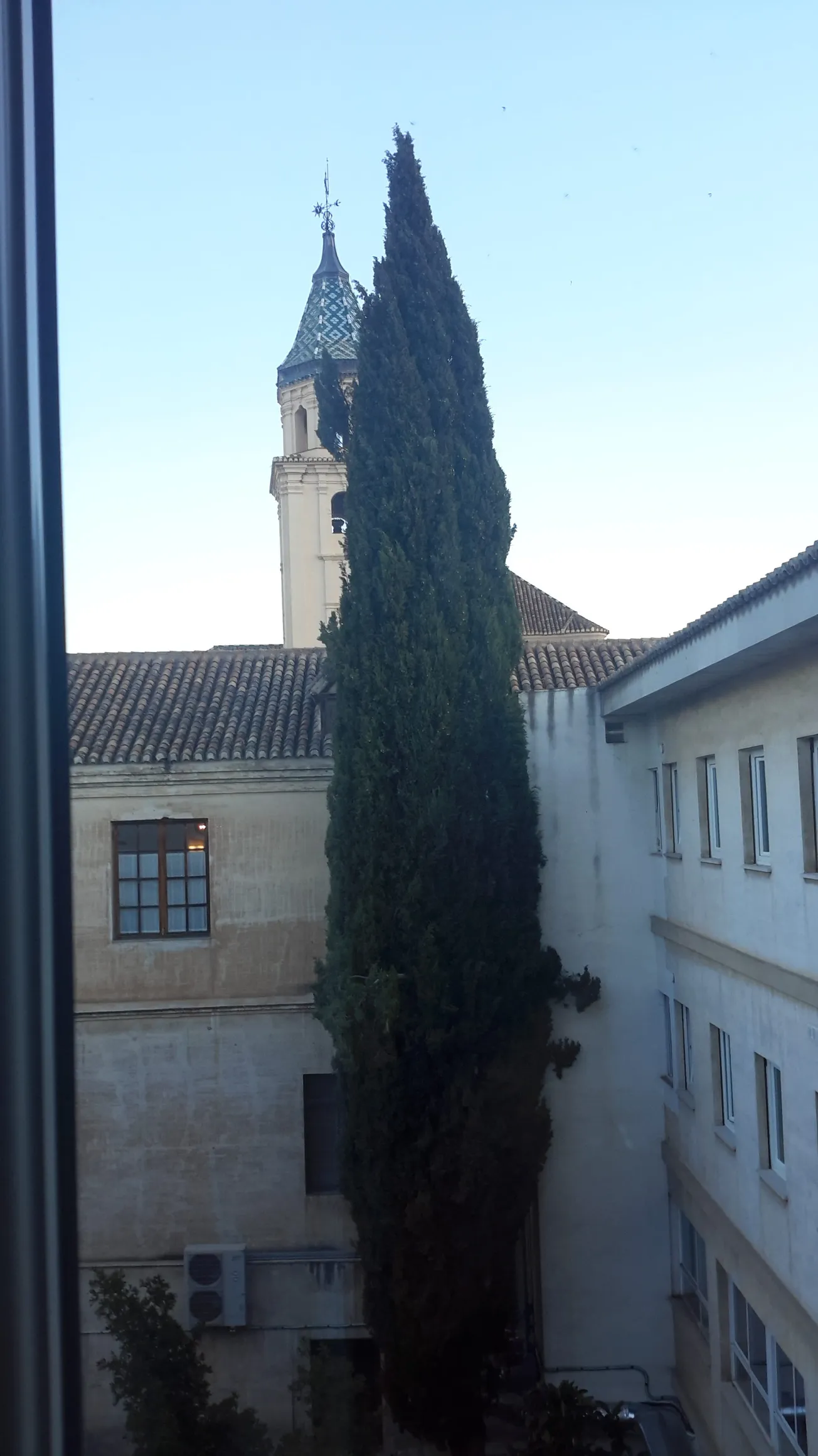 View From Your Window