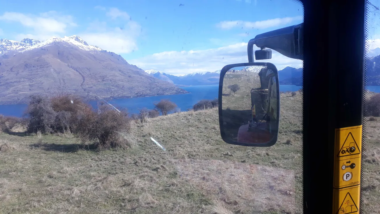 View From Your Window