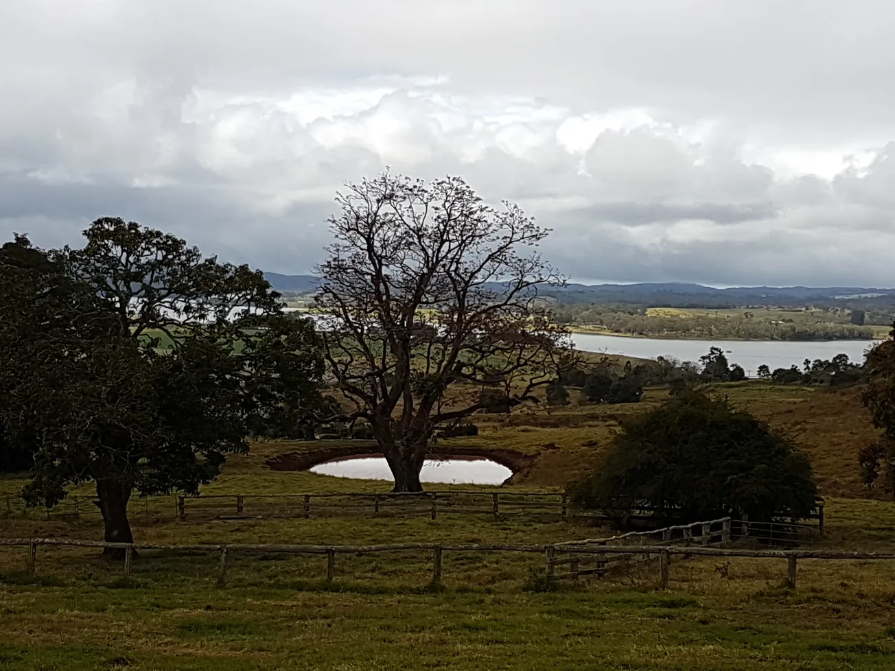 View From Your Window