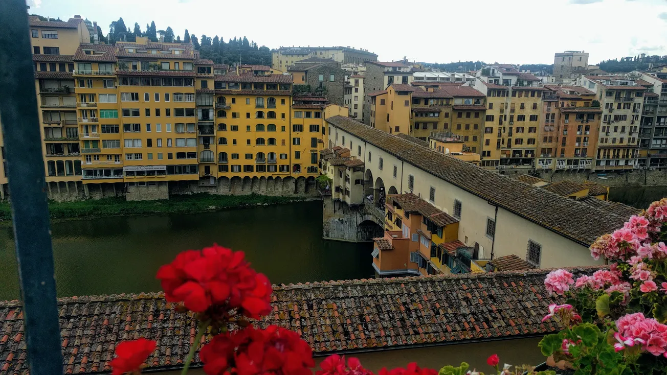 View From Your Window