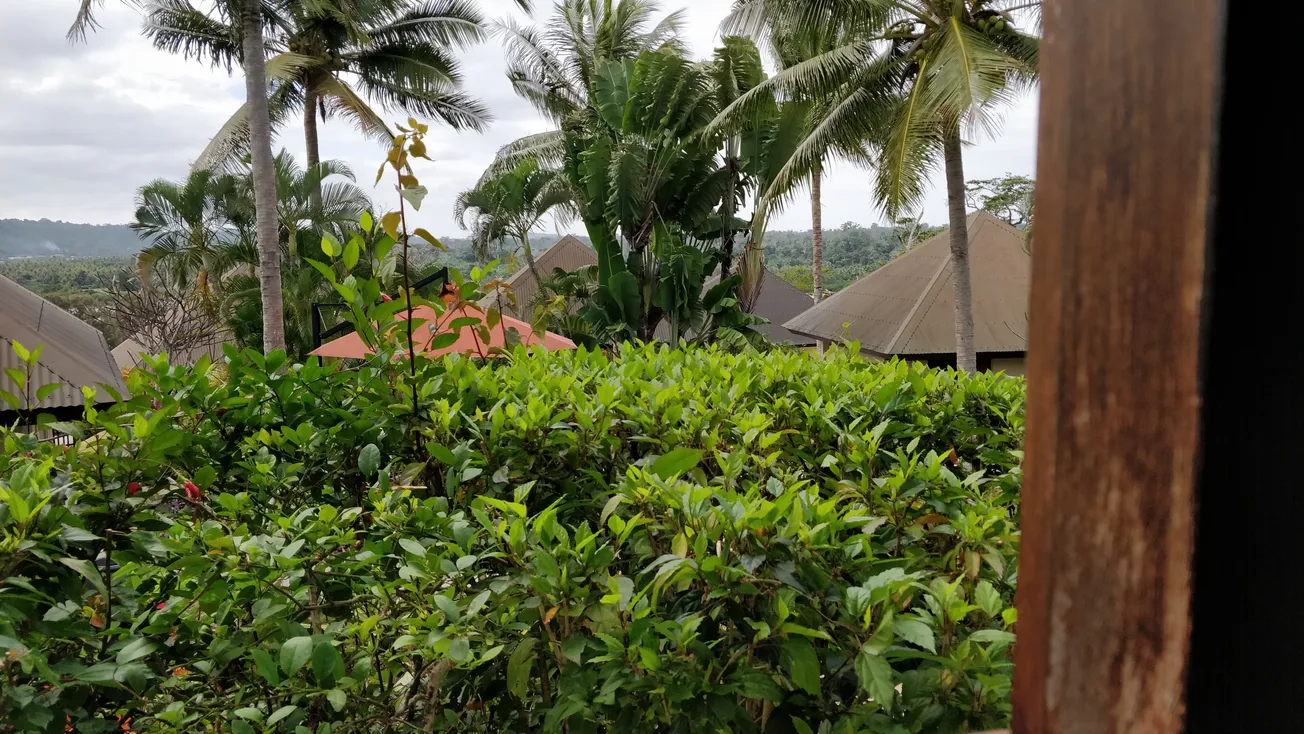 View From Your Window