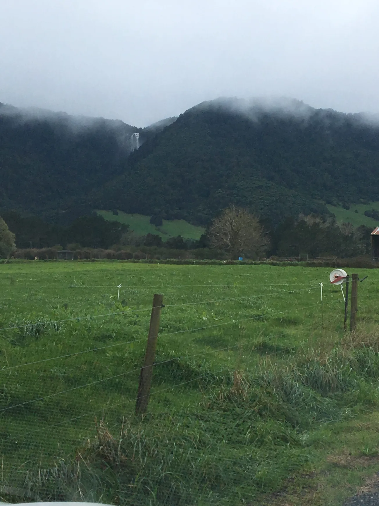 View From Your Window