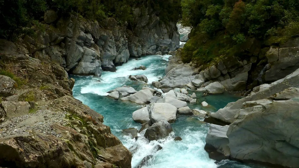 West Coast Hydro Dam Axed by David Parker