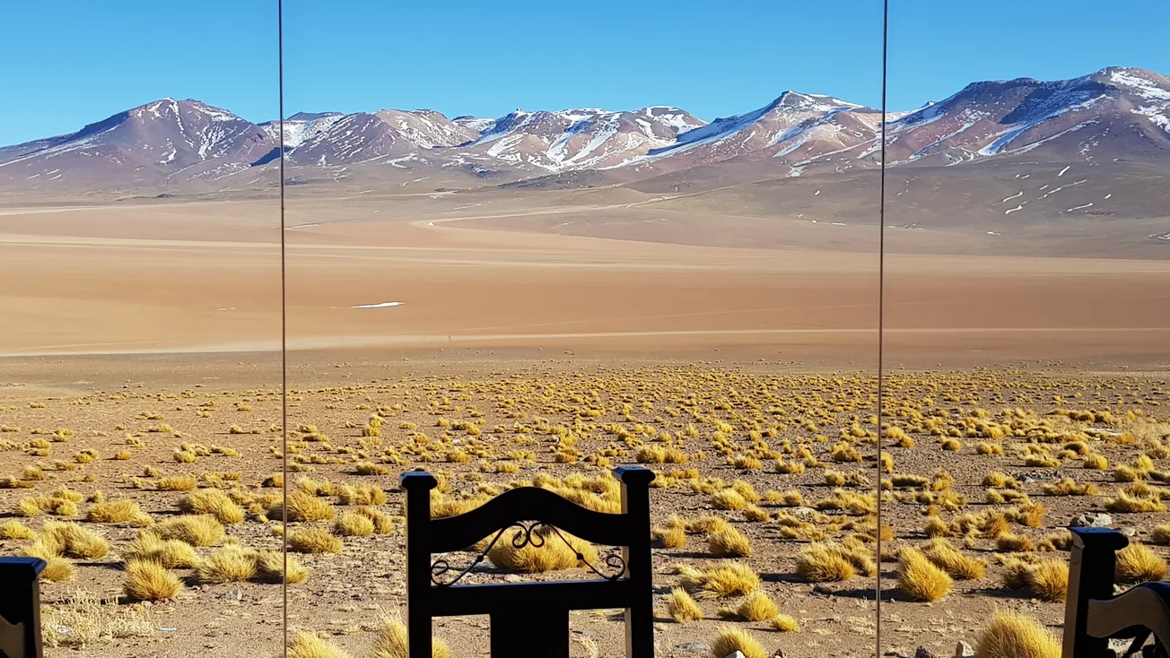 View From Your Window