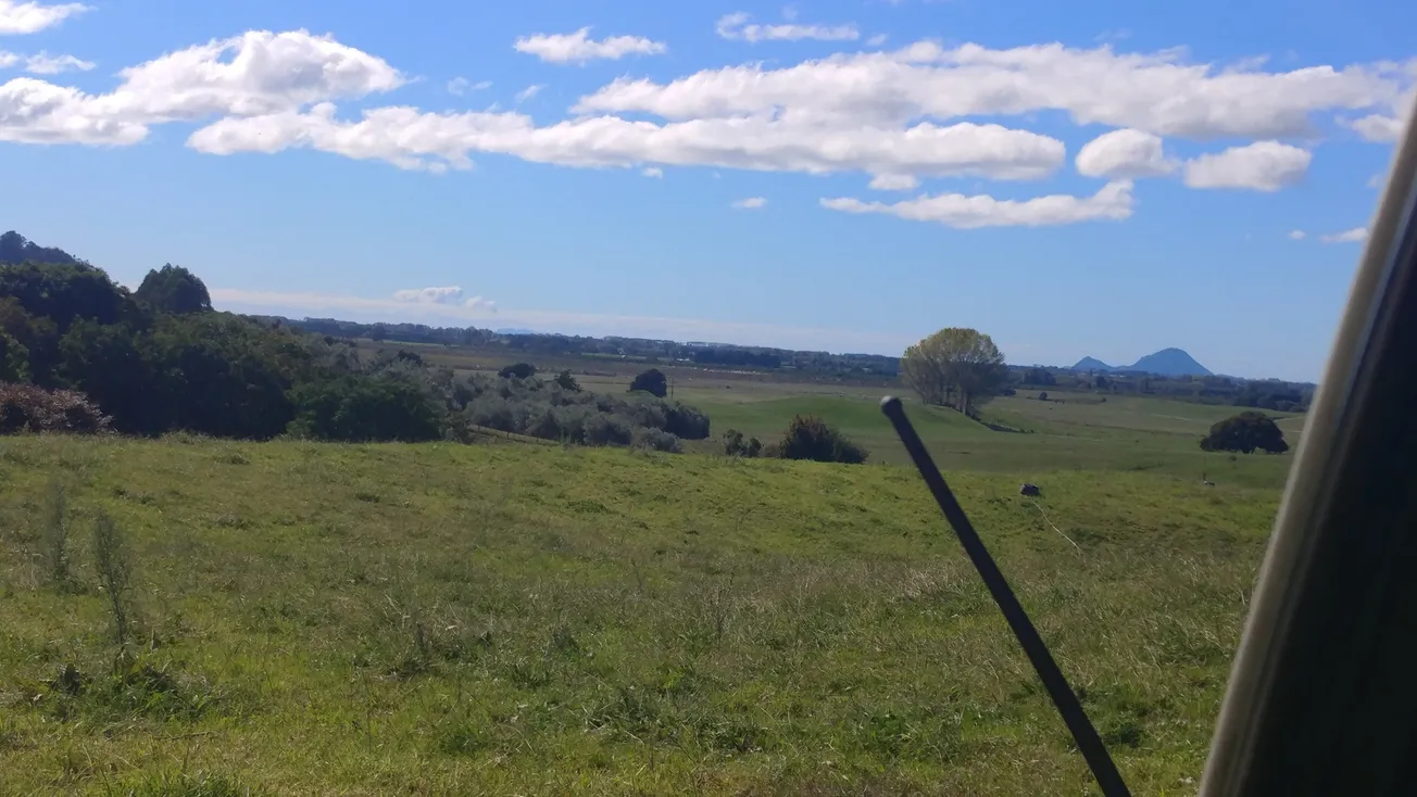 View From Your Window