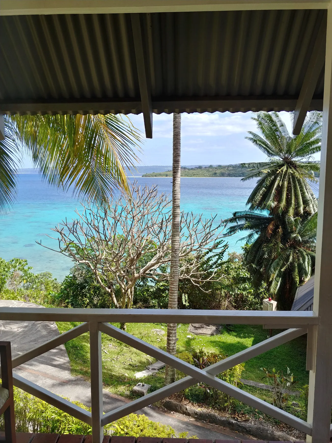 View From Your Window