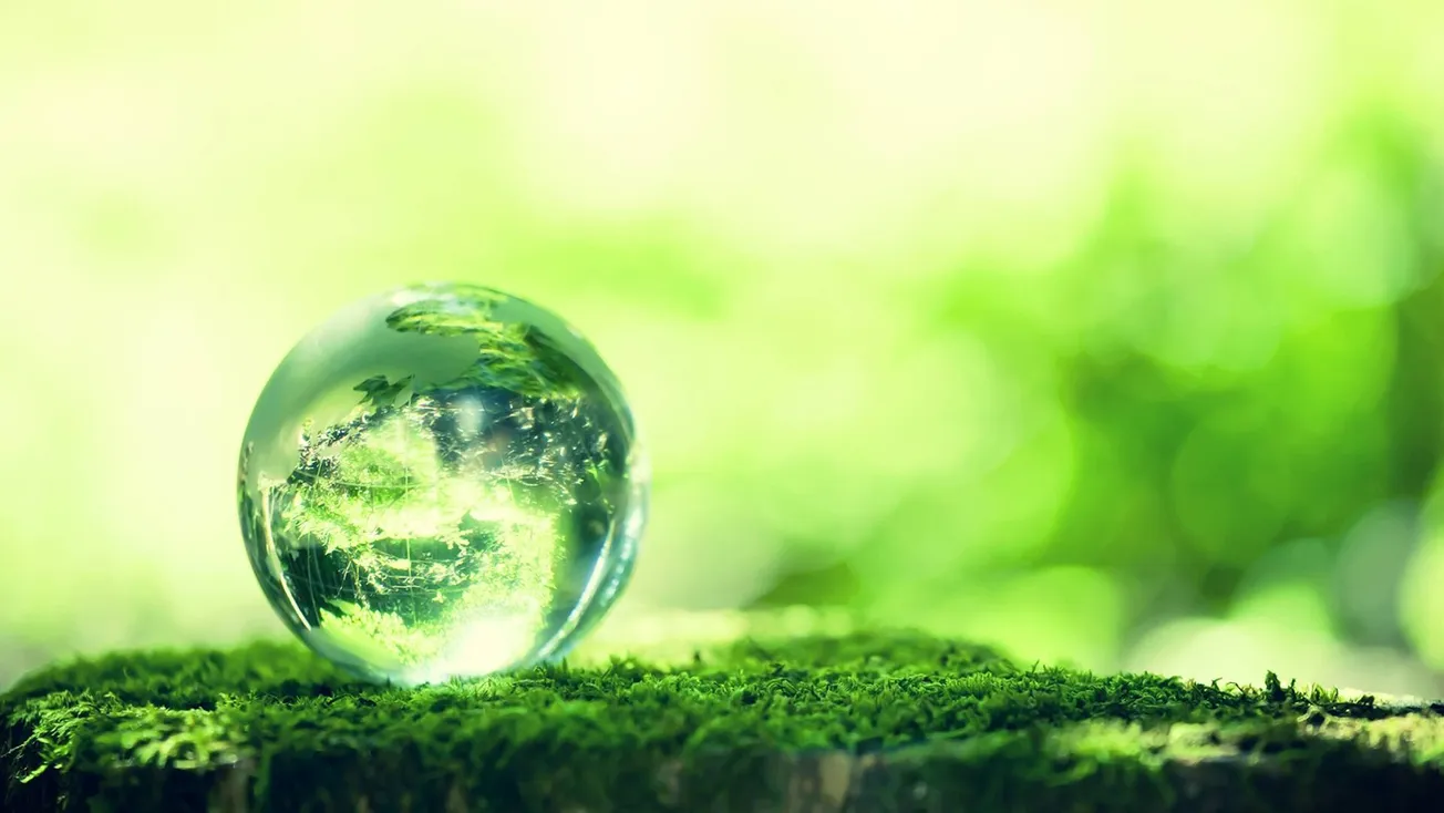 It Really Is Plant Food