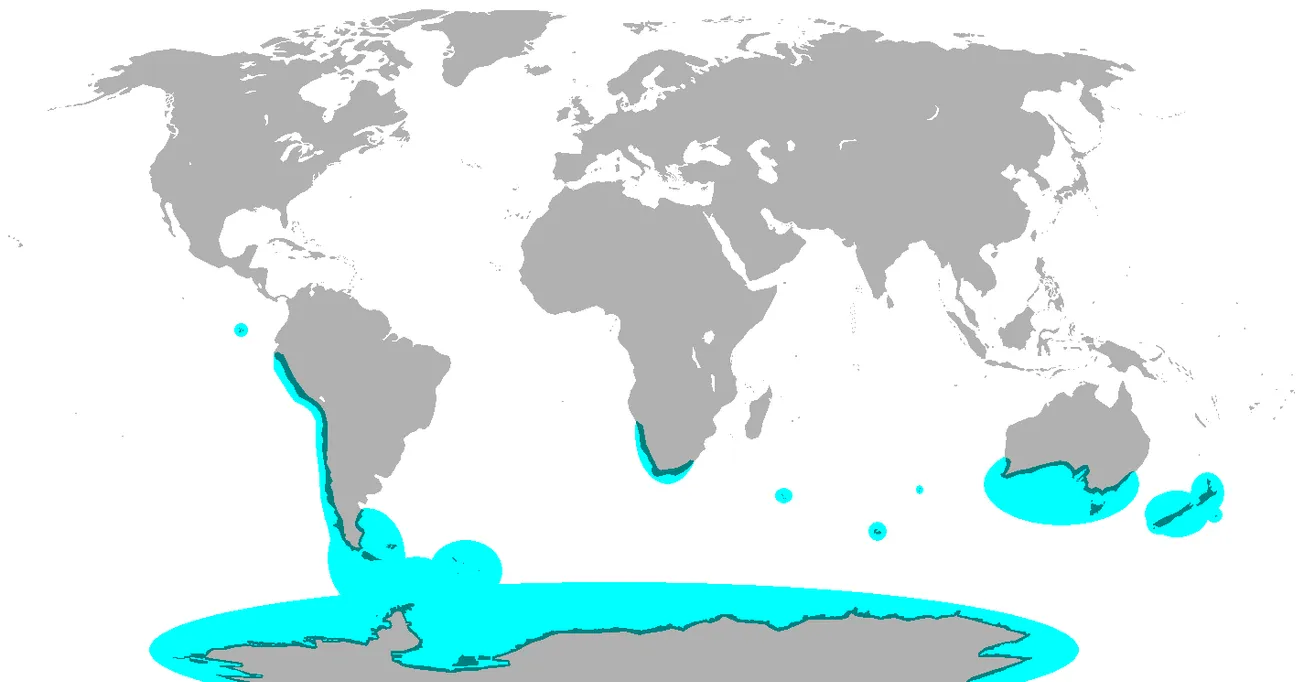 Map of the Day: Global Distribution of Penguins