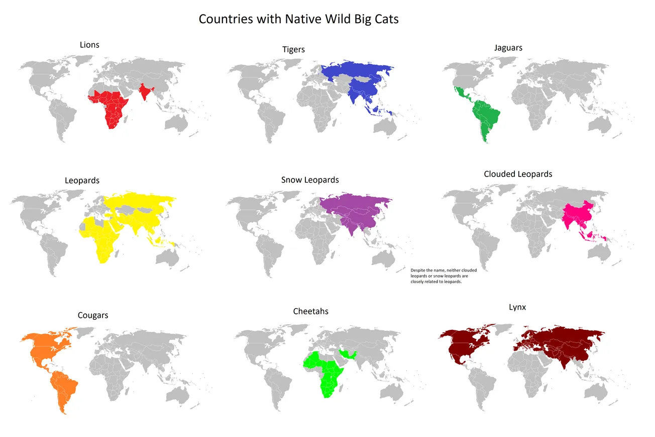 Map of the Day: Countries with Native Wild Big Cats