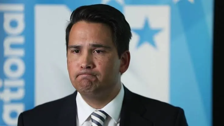 Is Simon Bridges the Andrew Little of National?