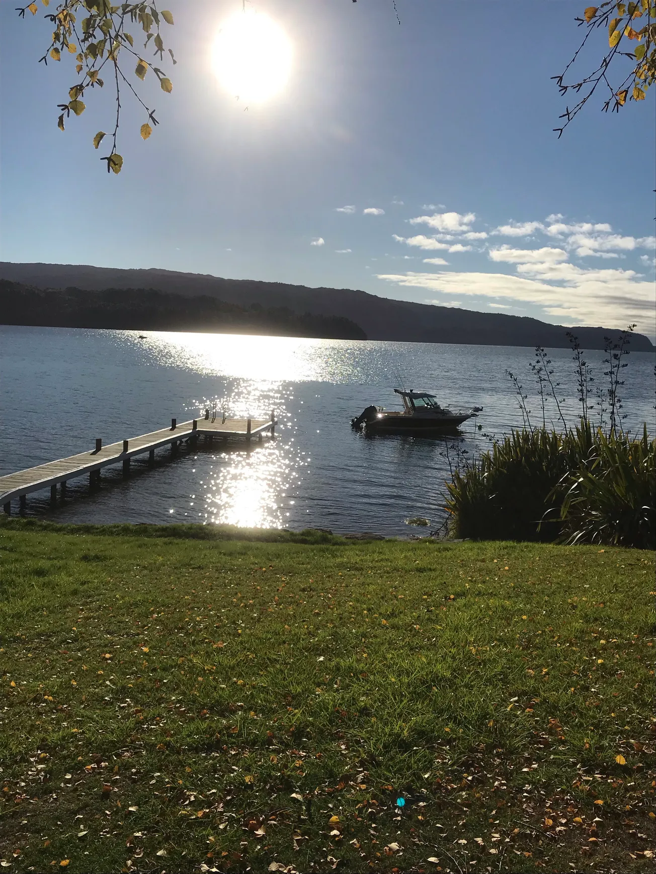 View From Your Window