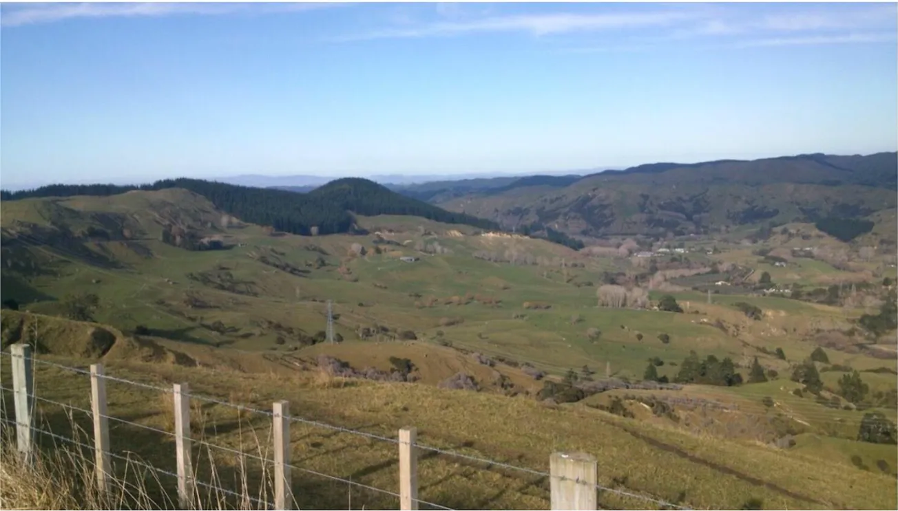 View From Your Window