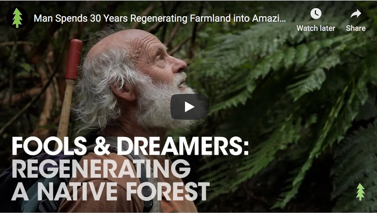 Man Spends 30 Years Regenerating Farmland into Amazing Forest