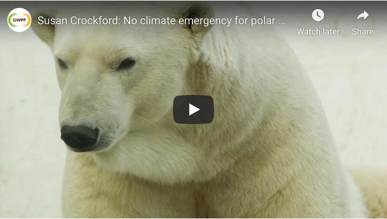 Susan Crockford: No Climate Emergency for Polar Bears