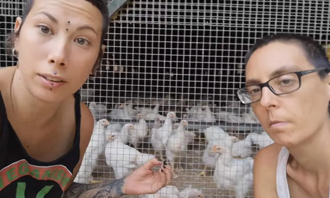 Trannie-Vegans Go Full Retard on Rapist Roosters