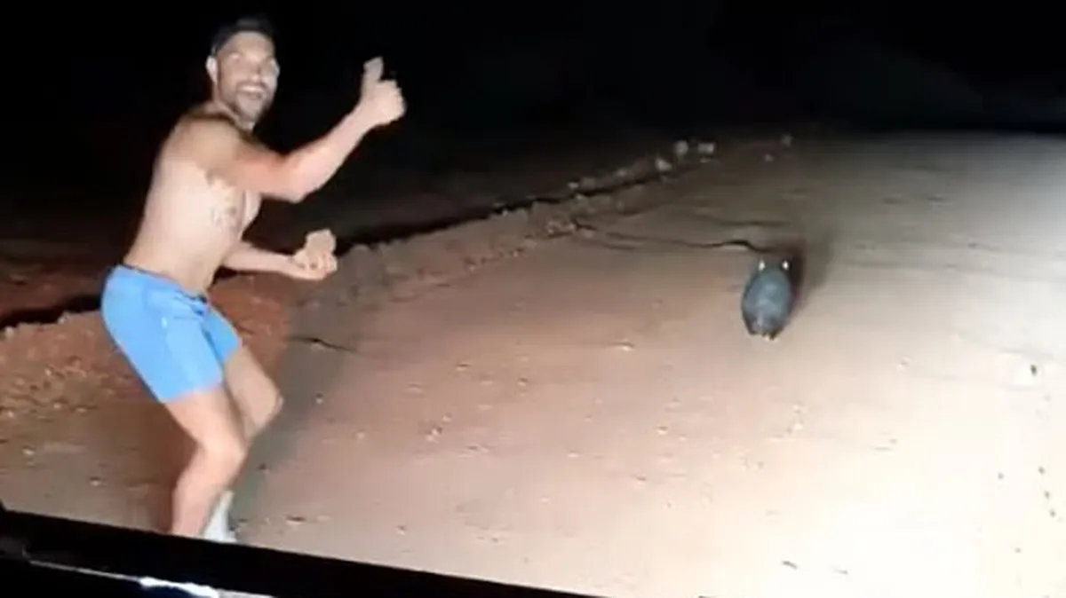 Gutless Wombat Killer Cop Plays ‘Culture’ Card